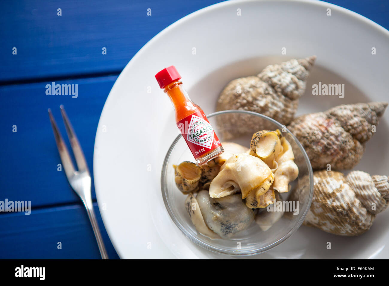 Piastra del British conchiglia con salsa piccante Foto Stock