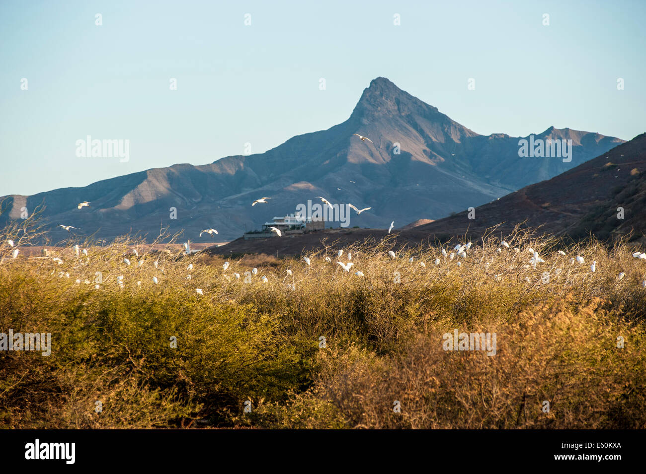 Le montagne vicino a Mindelo, Sao Vicente isola, Capo Verde arcipelago. Foto Stock