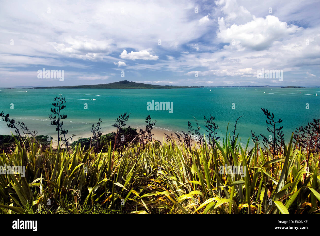 Isola di Rangitoto e dal porto di Waitemata,città di Auckland, Nuova Zelanda Foto Stock