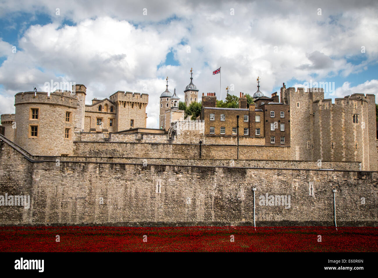 Torre di Londra con i papaveri Foto Stock