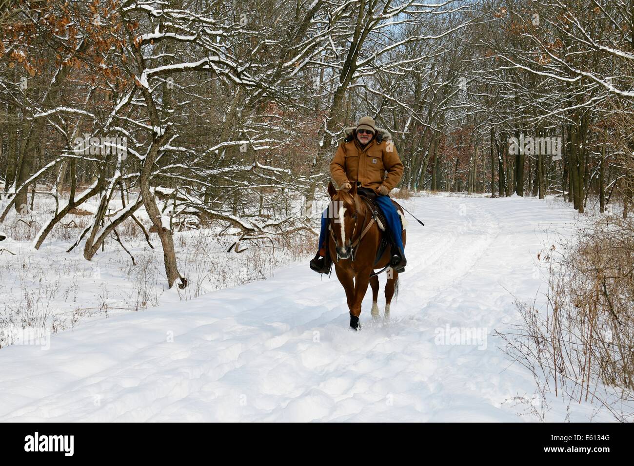 Equestrian. Vicolo del paese di boschi Cook County Illinois. Foto Stock