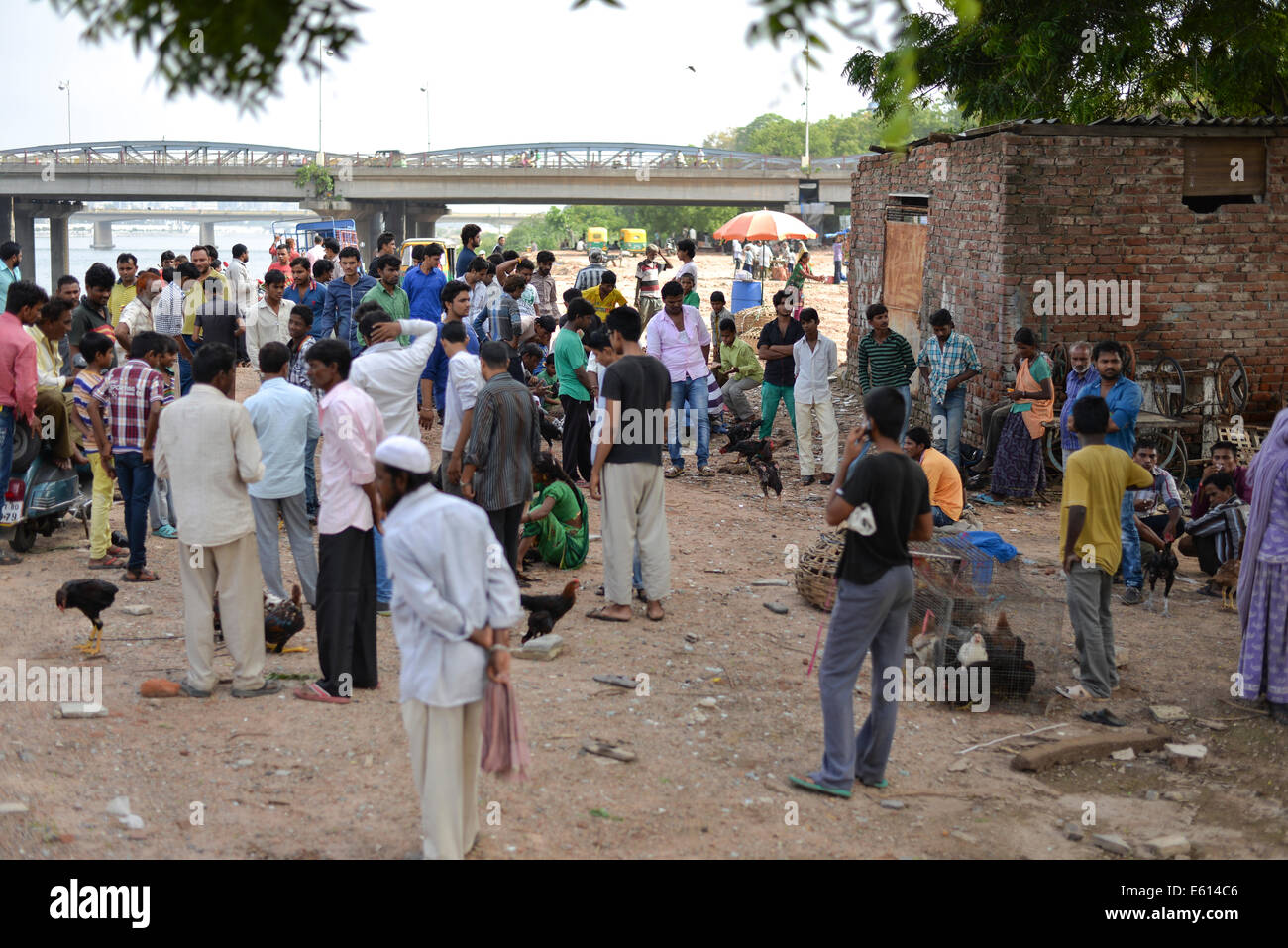 AHMEDABAD, Gujarat/INDIA - Domenica 10 agosto 2014 : Vari roba per vendere al mercato aperto, GujariBazaar in Ahmedabad. GujariBazaar è di 600 anni vecchio mercato di divertente raccolta di mobili antichi, utensili domestici, di seconda mano attrezzature informatiche, antichi metalware, vestiti, libri, e animali. Foto Stock