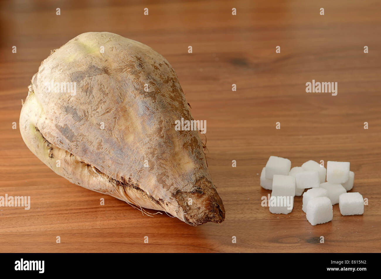 Barbabietole da zucchero (Beta vulgaris ssp. vulgaris var. altissima) e cubetti di zucchero, di zucchero bianco, di zucchero raffinato Foto Stock