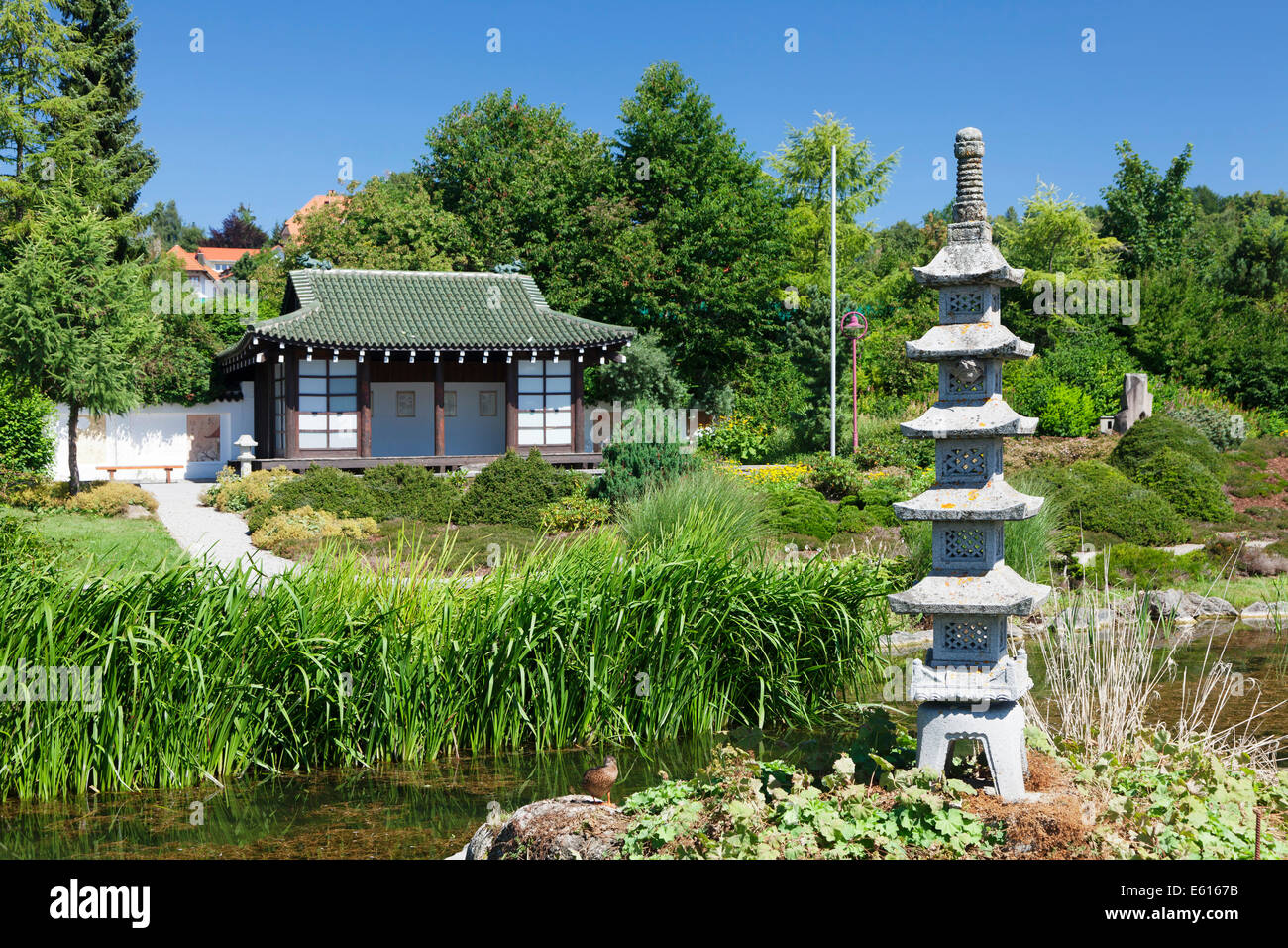 Tradizionale casa da tè e la pagoda nel giardino giapponese, Bonndorf, Foresta Nera, Baden-Württemberg, Germania Foto Stock