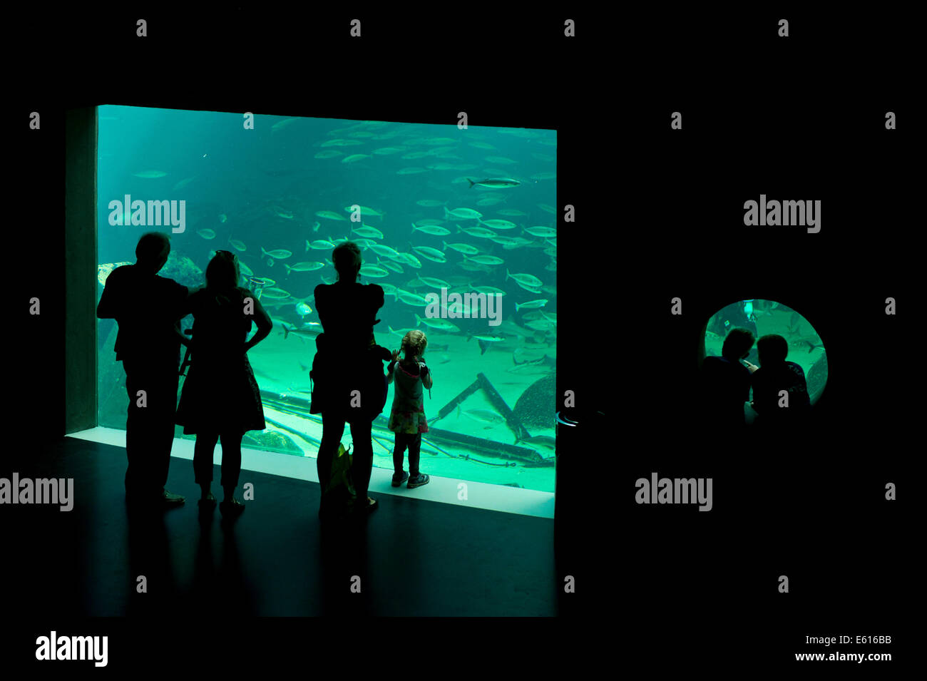 I visitatori di fronte ad un acquario, Nordsøen Oceanarium, Hirtshals, Nord dello Jutland, Danimarca Foto Stock