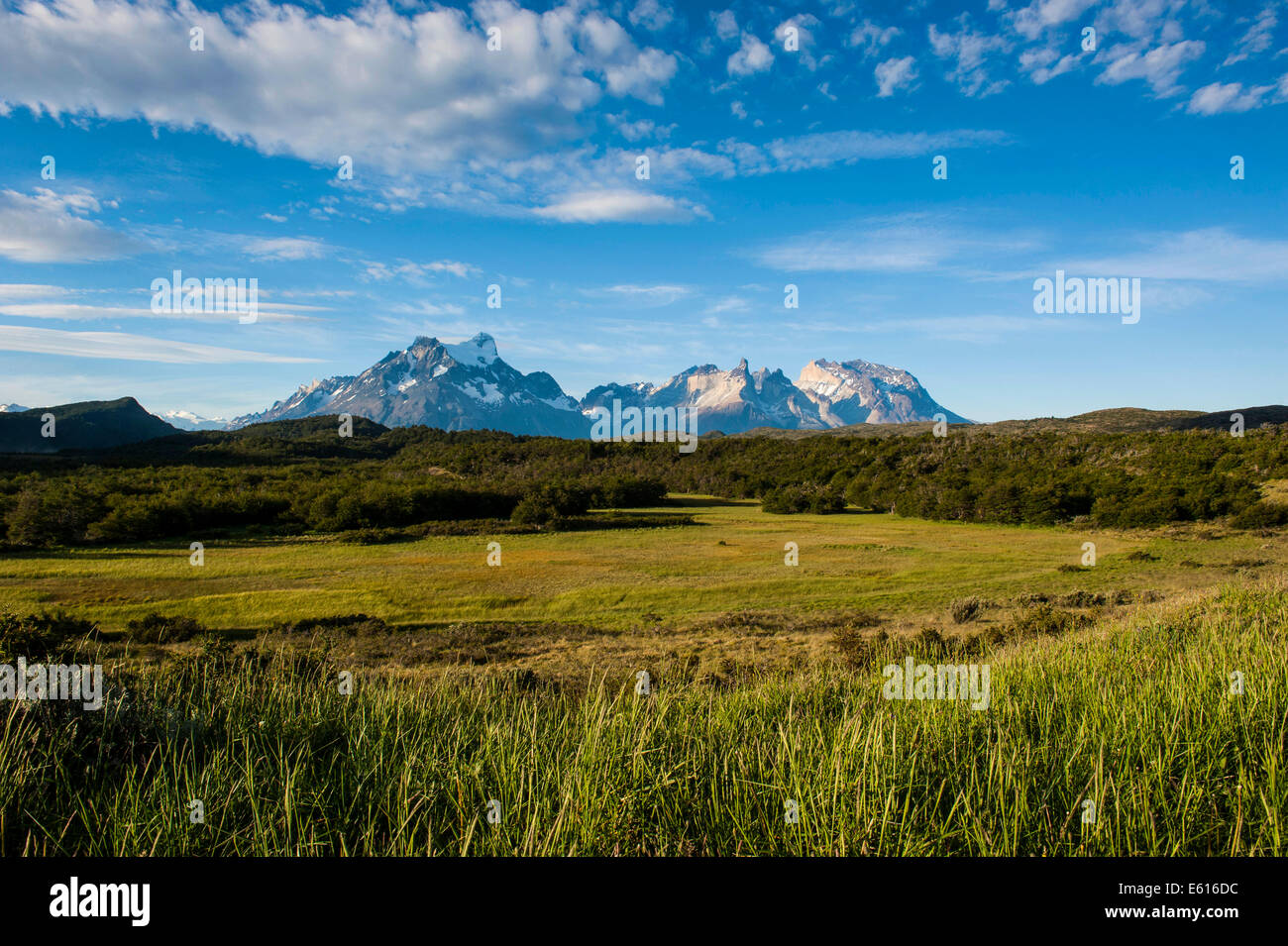 Paesaggio nel Parco Nazionale Torres del Paine, Patagonia, Cile Foto Stock