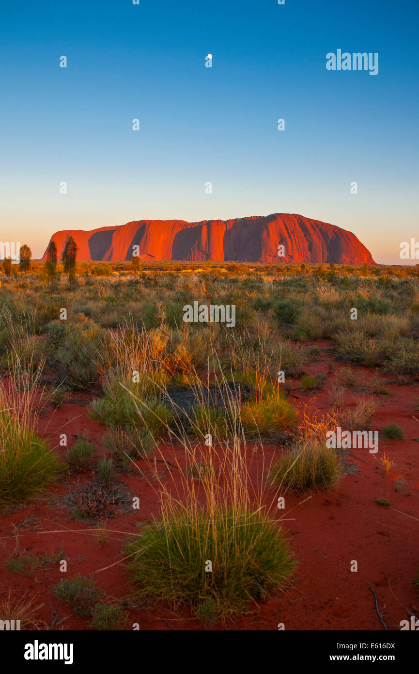 Uluru Ayers Rock, nel tardo pomeriggio, Territori del Nord, Australia Foto Stock
