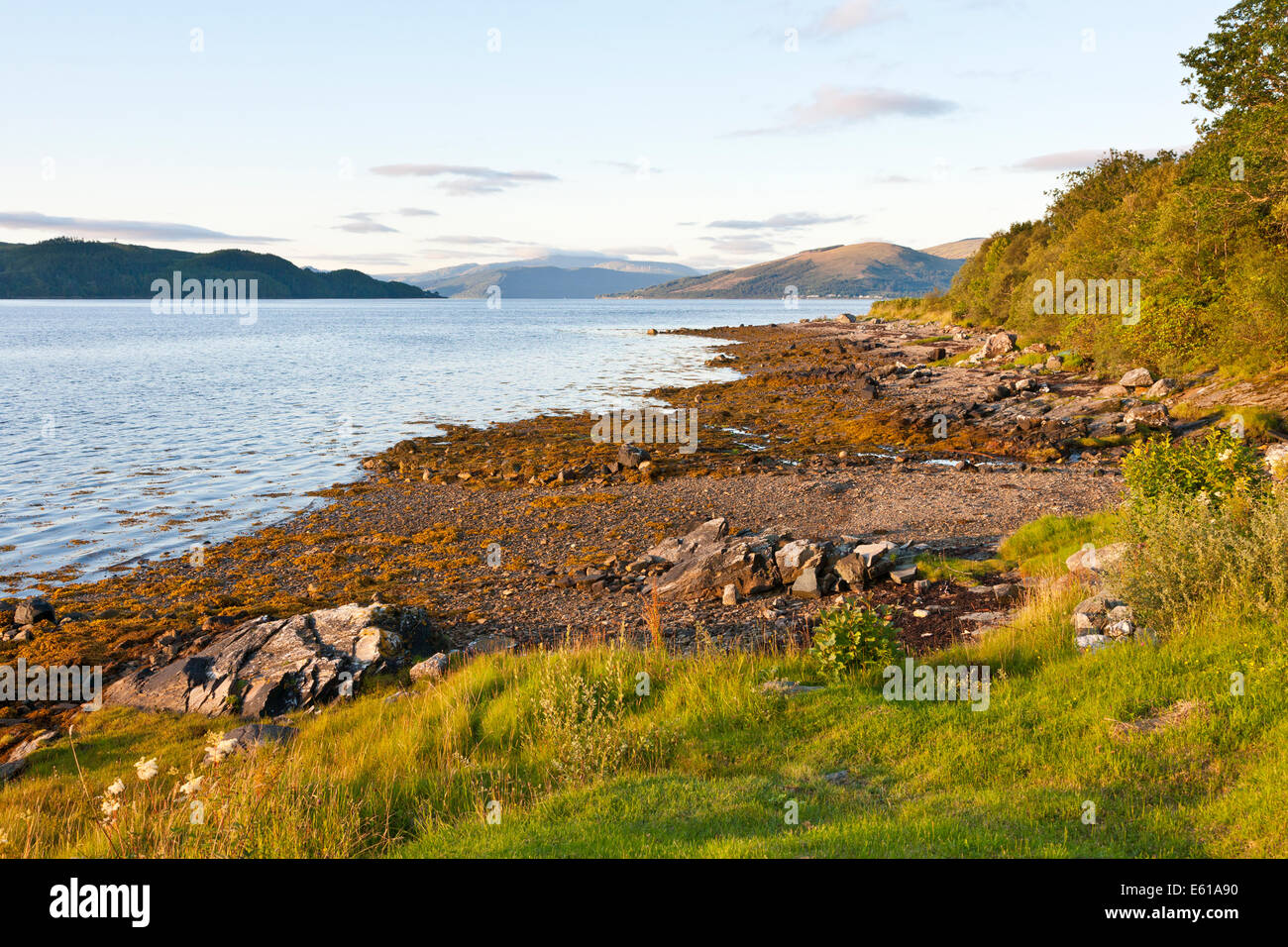Newton Bay sul Loch Fyne un Sea-Loch in Scozia Foto Stock