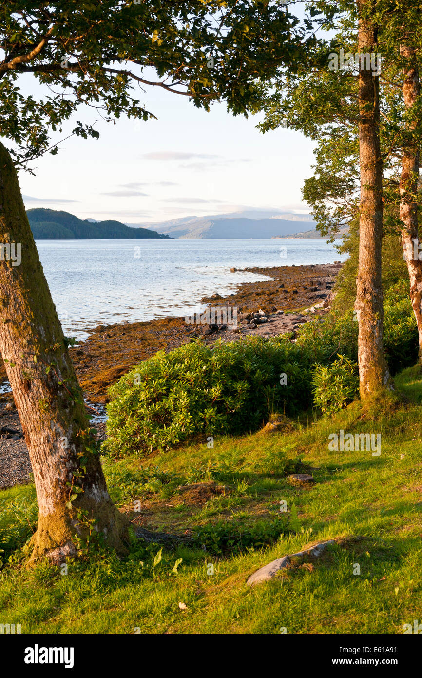 Newton Bay sul Loch Fyne un Sea-Loch in Scozia Foto Stock