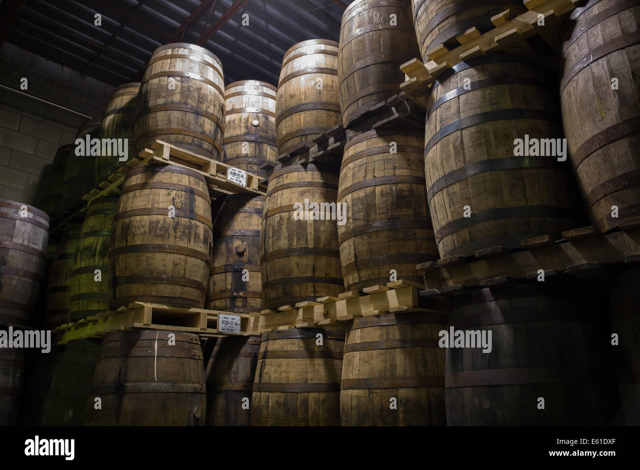 Whiskey botti in legno Foto Stock