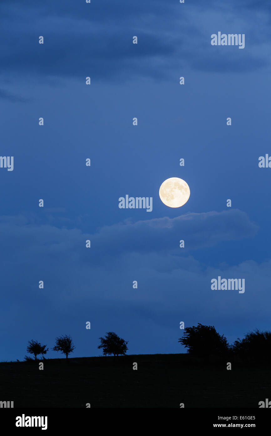 Supermoon. Una serata silhouette del paesaggio e la piena 'super luna" - la luna è la località più vicina alla Terra nel 2014. Foto Stock