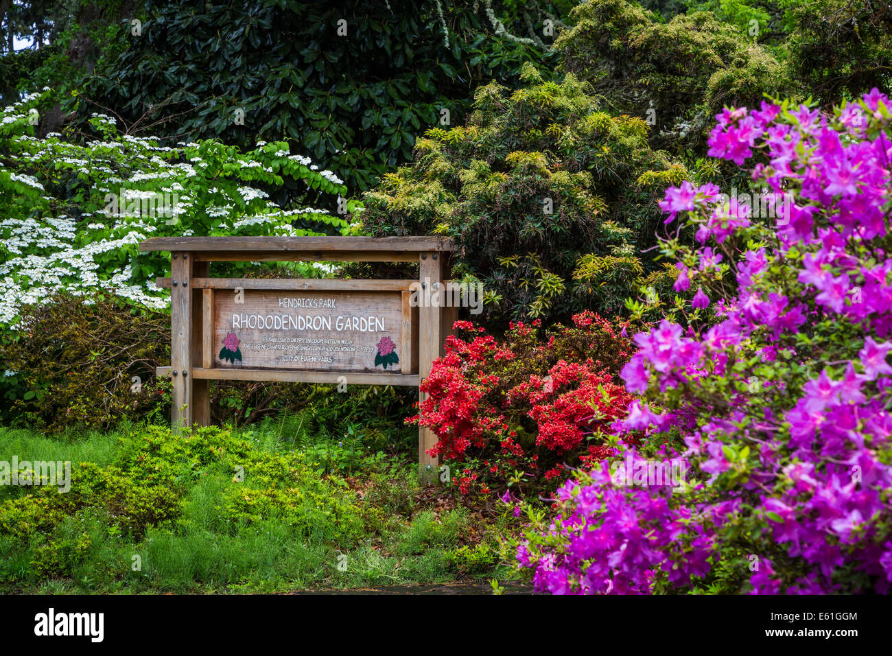 Hendricks Parco e giardini park accedi Eugene, Oregon, Stati Uniti d'America. Foto Stock