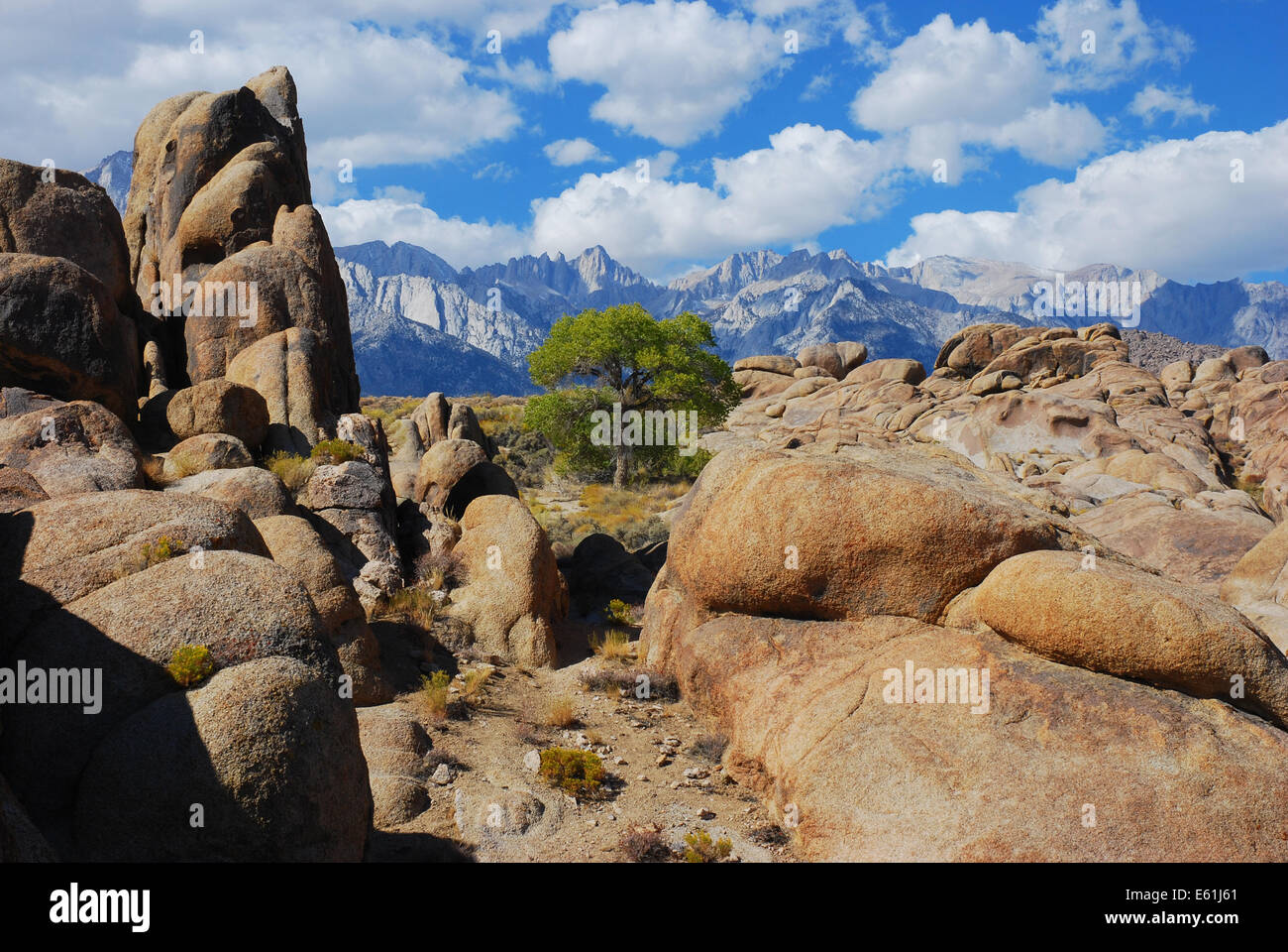 L'Alabama Hills con il Monte Whitney in background, Lone Pine, California USA Foto Stock