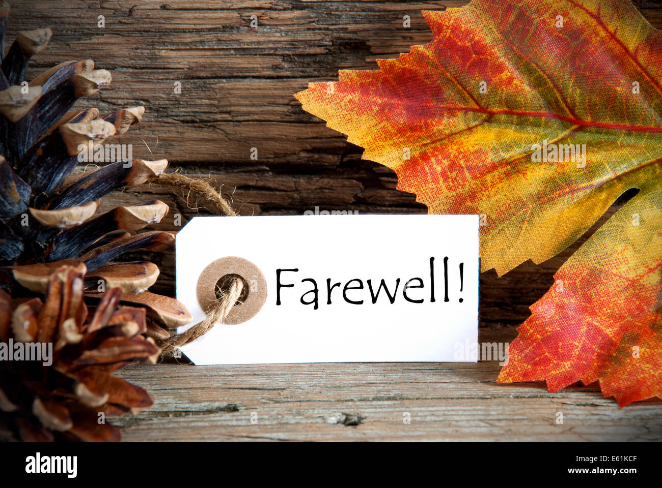 Un autunno Etichetta con la parola addio su di esso, sullo sfondo di caduta Foto Stock