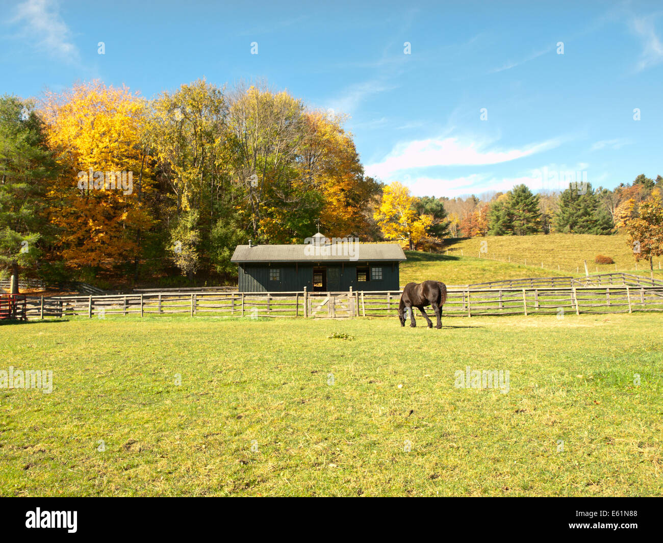 Cavallo e fienile in autunno Foto Stock