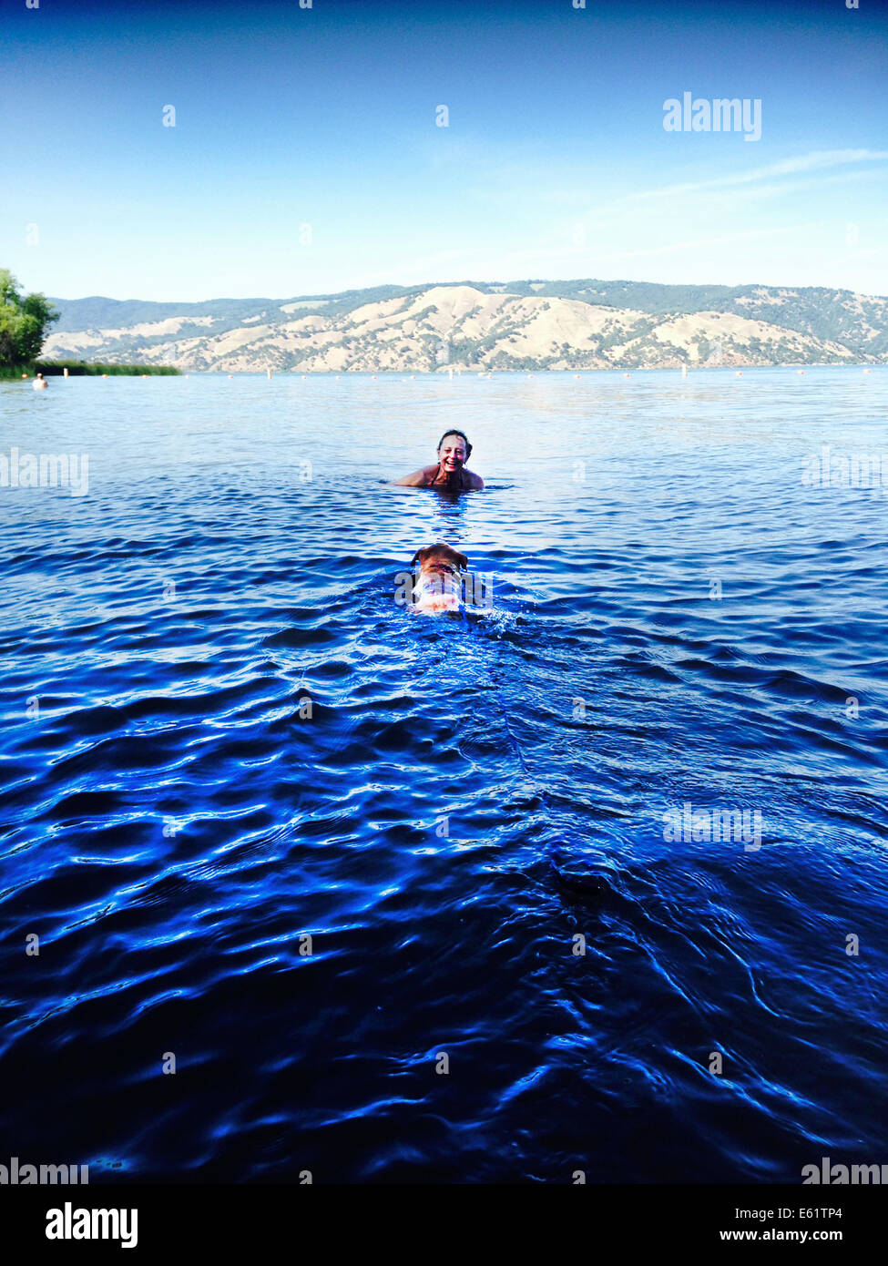Cane di nuoto per donna Foto Stock