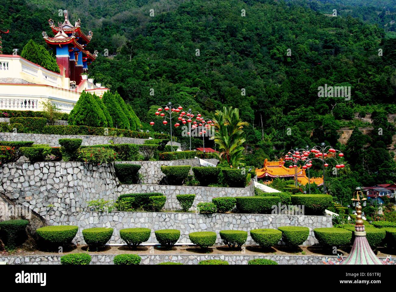 PENANG, MALAYSIA: alberi agganciata la linea terrazze al Tempio di Kek Lok Si Foto Stock