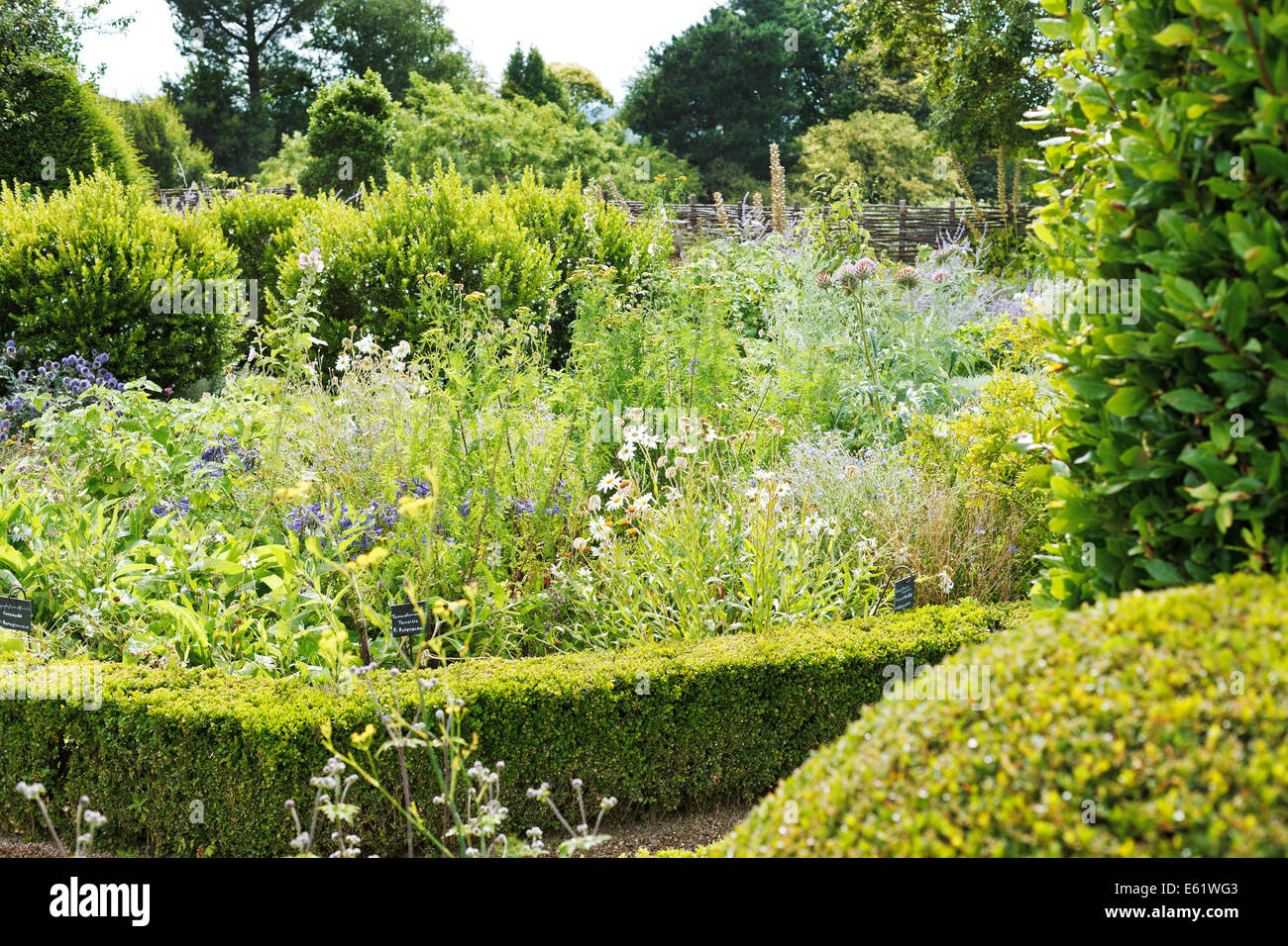 ANGERS, Francia - 28 luglio 2014: appendere un giardino botanico con erbe medicative nel castello di Angers, Francia. Chateau d'Angers è stato fo Foto Stock