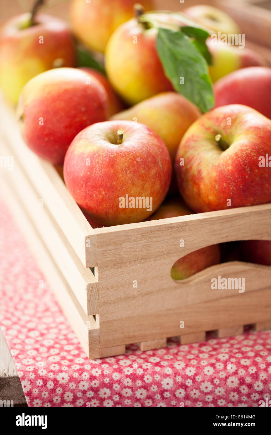 Le mele rosse in cassetta di legno Foto Stock