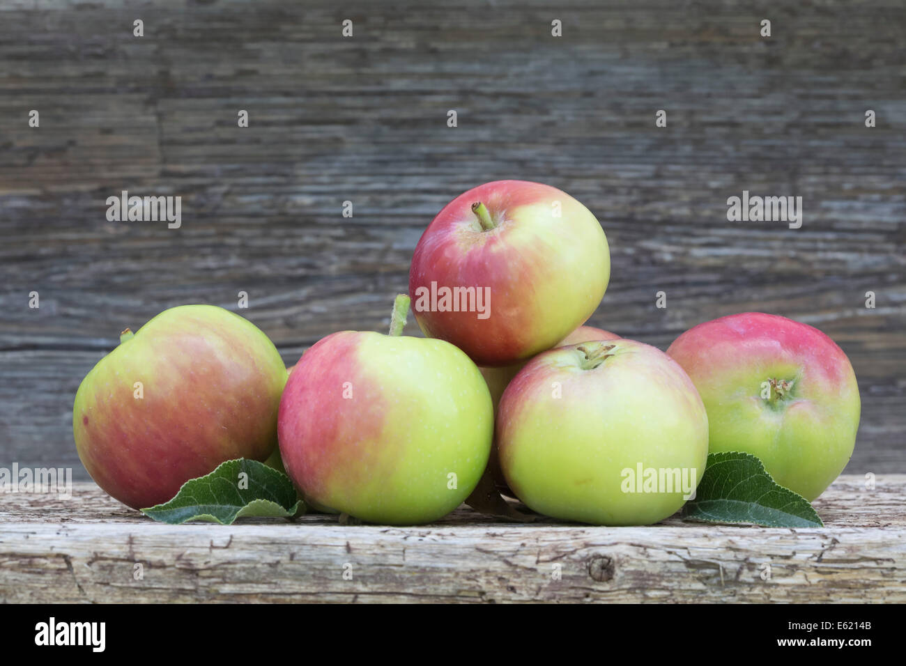 Gruppo di rosso e mele verdi sul legno rustico shot all'aperto Foto Stock