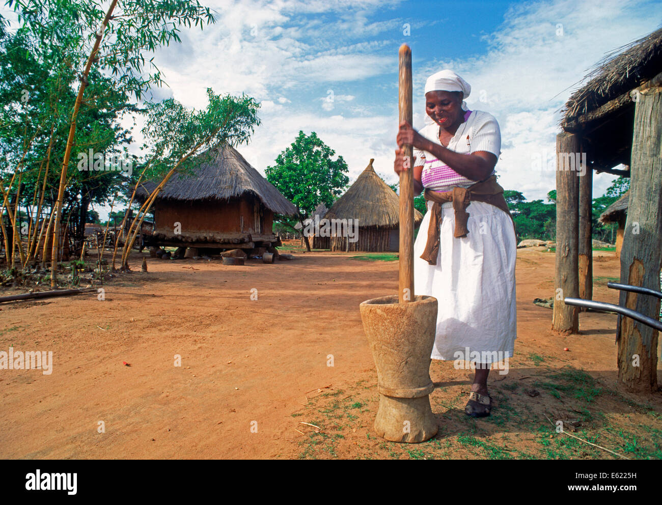 Donna pounding mais cornbread nello Zimbabwe village Foto Stock