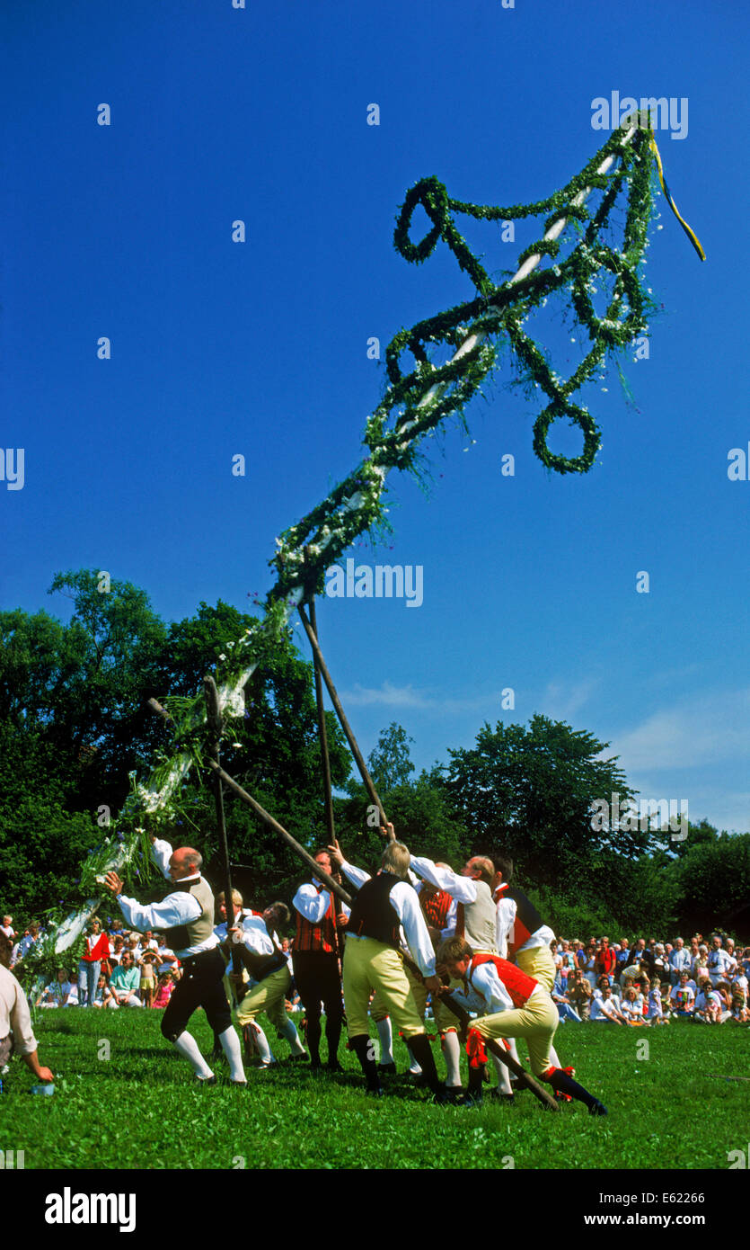 Sollevamento tradizionale di Maypole at Skansen Park sulla festa di mezza estate del giorno a Stoccolma Foto Stock