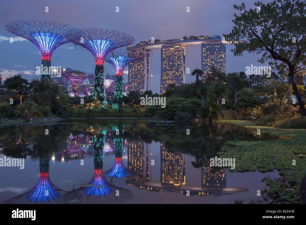 Lo skyline di Singapore inclusa Marina Bay Sands e Supertree Grove al tramonto con riflessi in uno stagno. Foto Stock