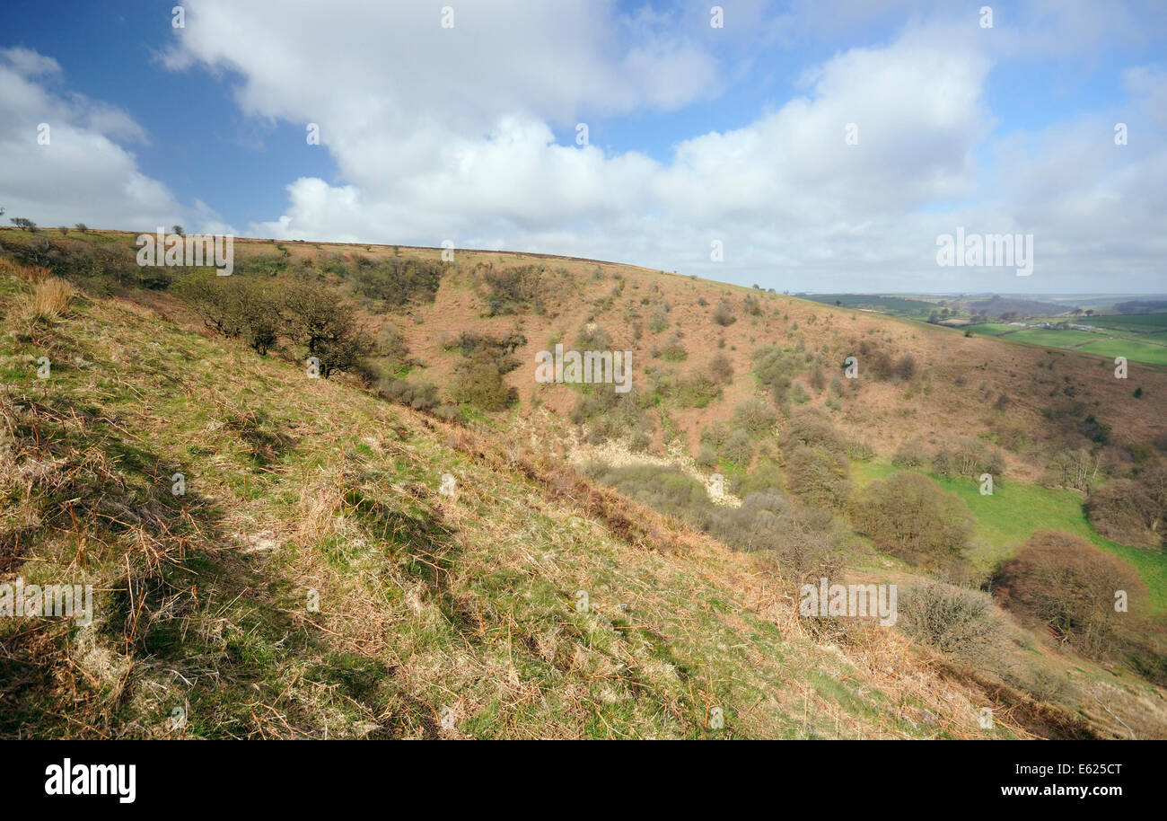 La Conca, Winsford Hill, Exmoor Foto Stock