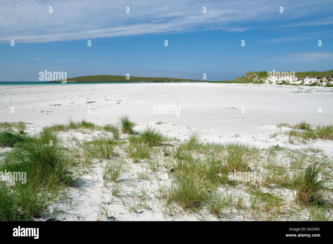 Guscio bianco sabbia spiaggia di Corran Ghoulabaidh con Lingeigh Isola, Lingay filamento o Traigh Lingeigh, North Uist Foto Stock