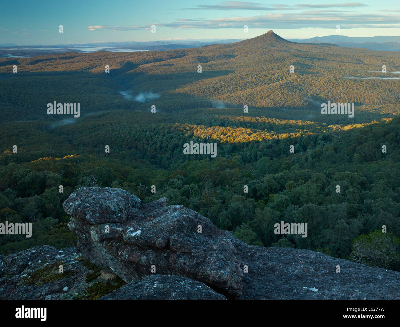 Montagna Pigeonhouse dal piccolo altopiano della foresta, Morton National Park, NSW Australia Foto Stock