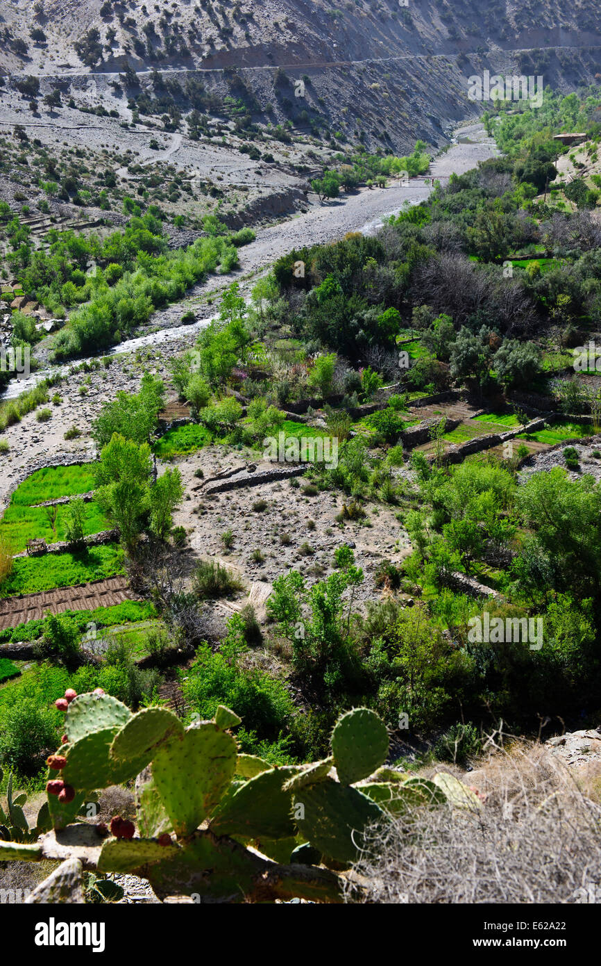 Viste mzouzite,villaggi ijoukak,valli,dighe,l'uomo fatto laghi,fiume nfiss,profonde gole del fiume,r203 sud,taroudant road,Marocco Foto Stock