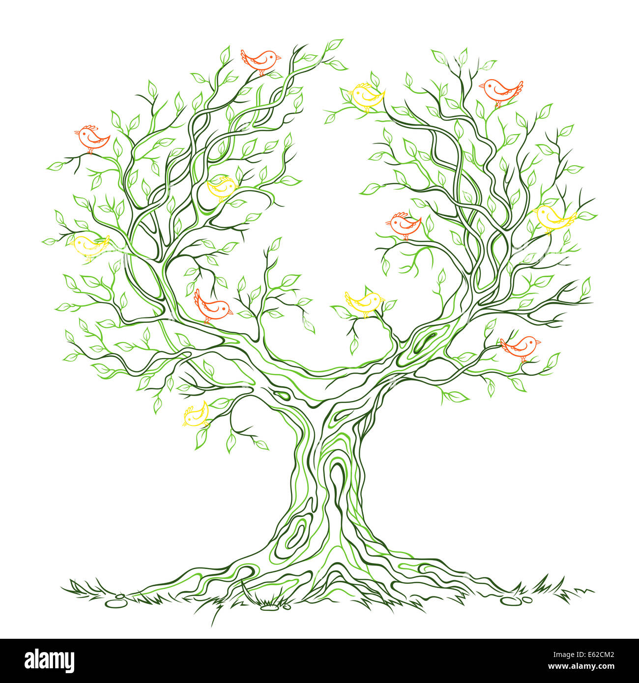 Grafico lineare verde antico e grande branchy albero con foglie e uccelli Foto Stock
