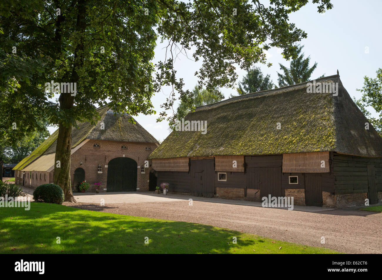 Tradizionale e originale fattoria sassone scherzo di un tetto di paglia in Gees (provincia di Drenthe) nei Paesi Bassi Foto Stock