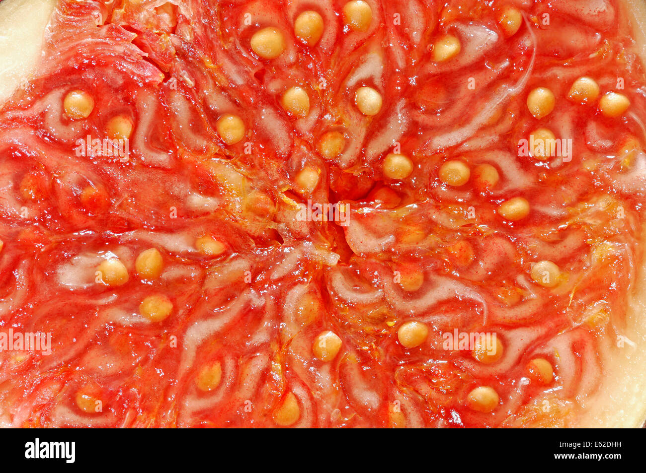 Fig (Ficus carica), metà dettaglio di frutta Foto Stock