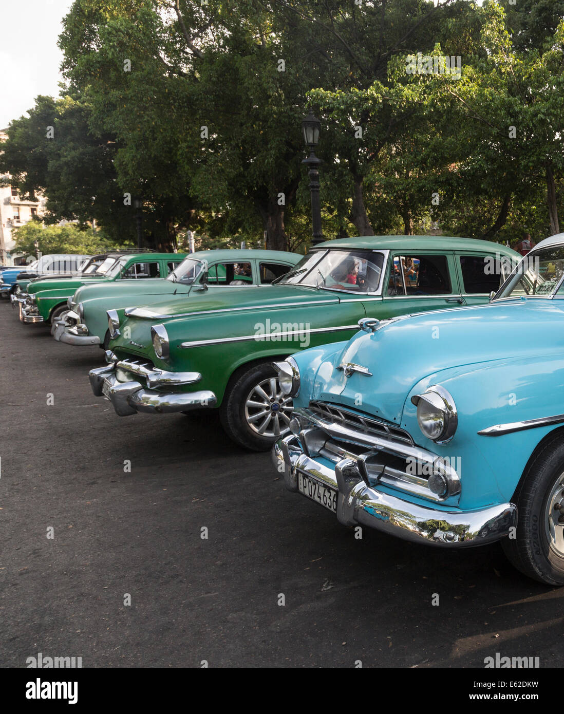 Vecchia degli anni cinquanta vetture, Havana, Cuba Foto Stock
