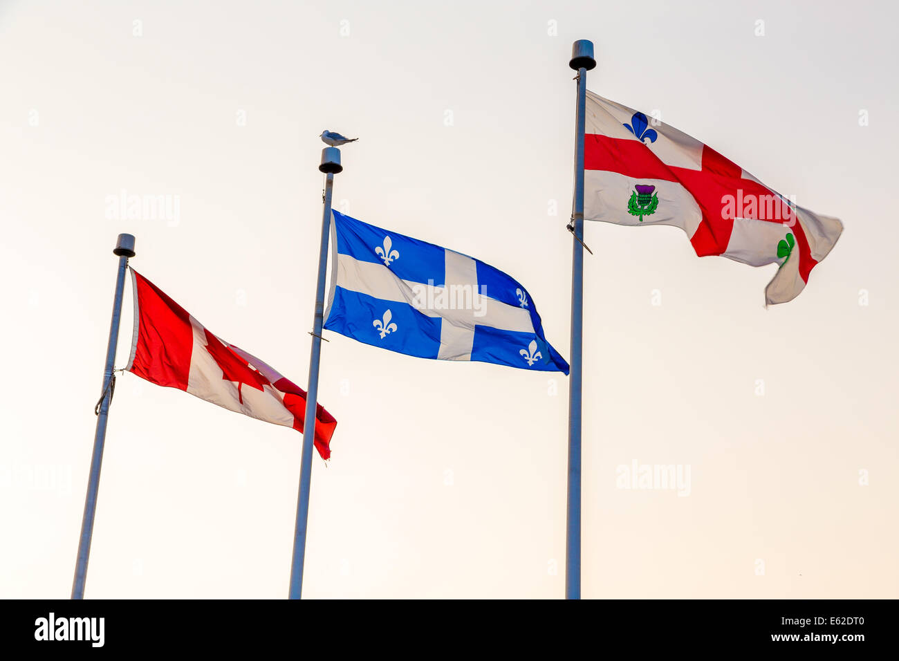 Montreal porta Vecchia estate 2014 Vieux-Port de Montréal 2014 Foto Stock