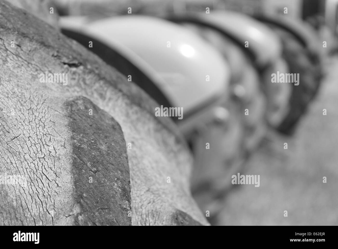 Immagine in bianco e nero che i pneumatici del trattore in una riga Foto Stock