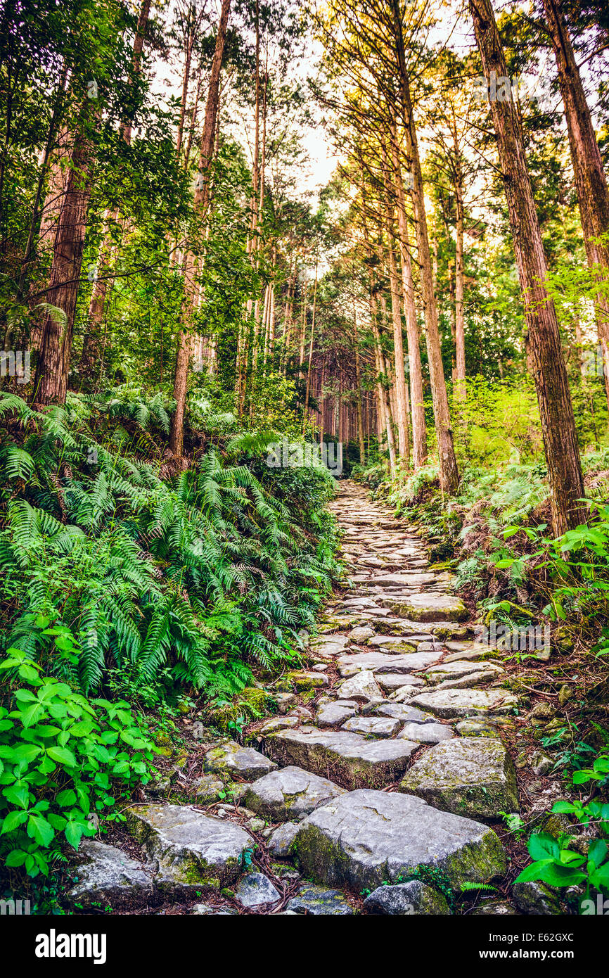 Kumano, Giappone a Matsumoto Pass. Il pass è parte del Kumano Kodo, una serie di antichi itinerari di pellegrinaggio. Foto Stock