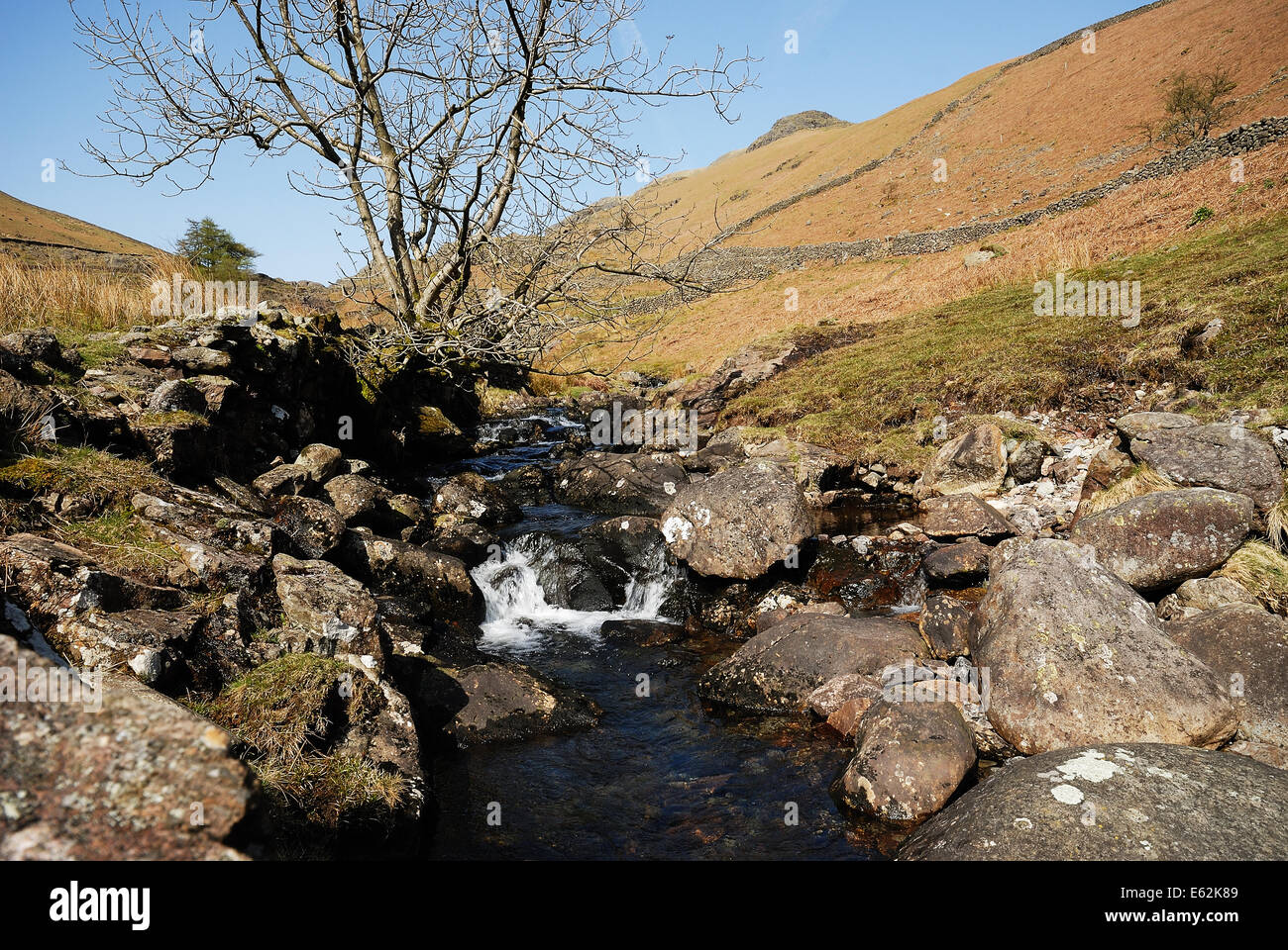 Greenburn Gill e cascate Foto Stock