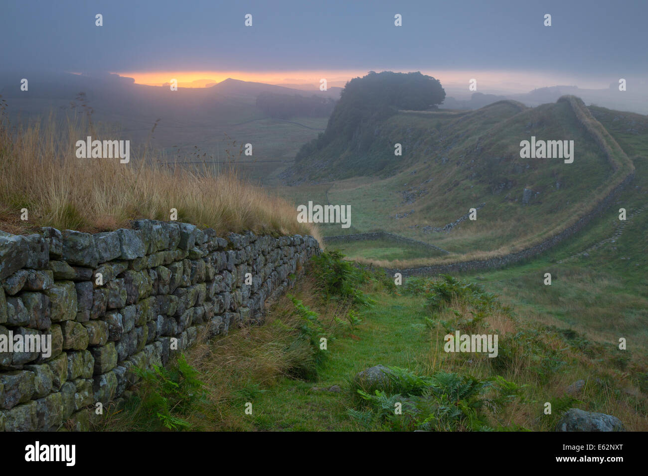 Dawn al Vallo di Adriano vicino al forte romano a Housesteads, Northumberland, Inghilterra Foto Stock