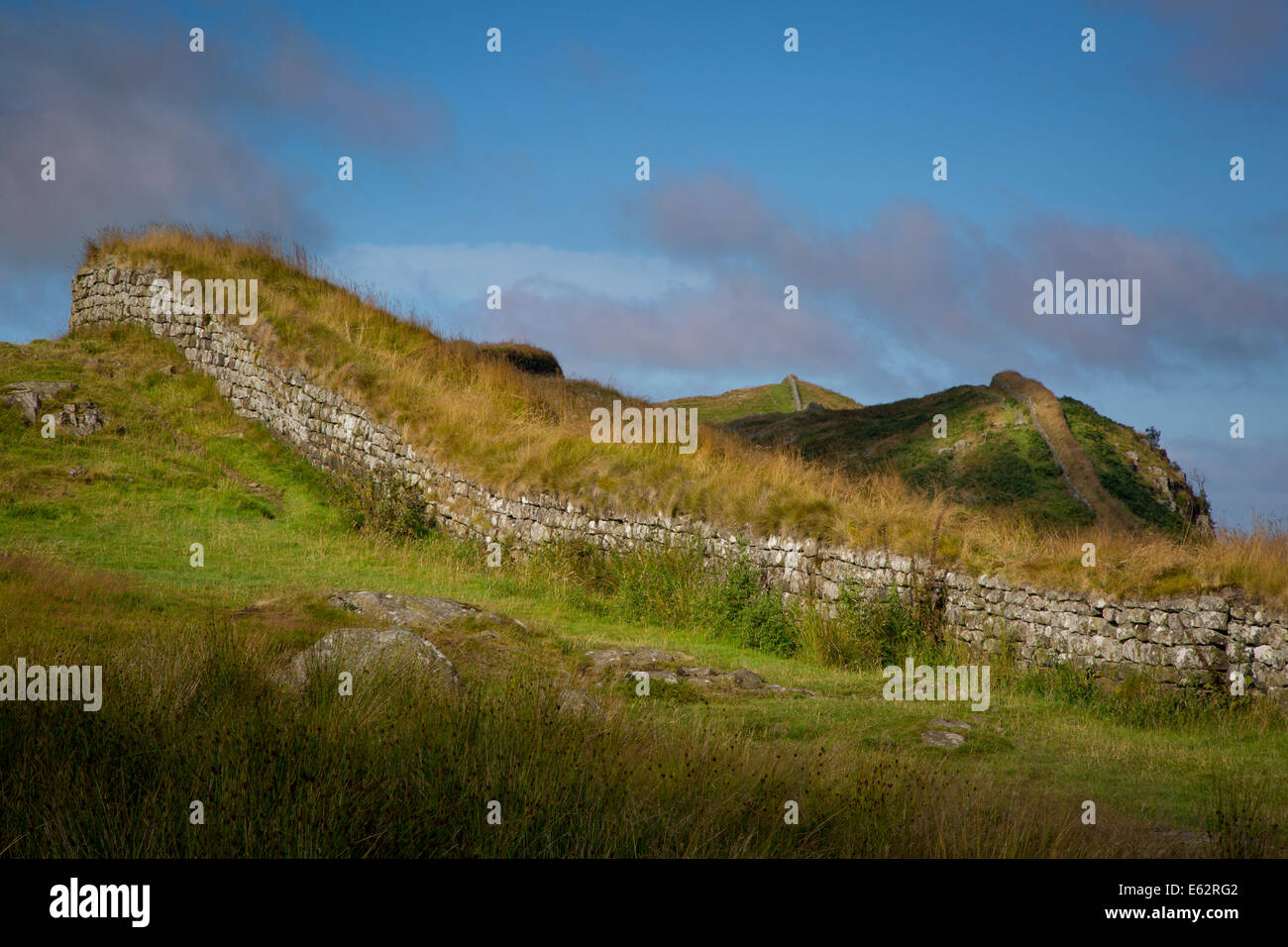 Dawn al Vallo di Adriano vicino al forte romano a Housesteads, Northumberland, Inghilterra Foto Stock