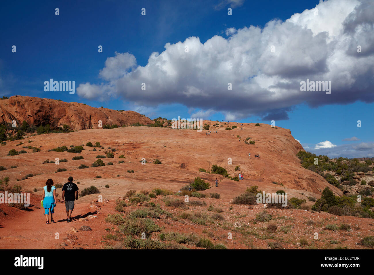 Gli escursionisti sul sentiero per Delicate Arch, Arches National Park, vicino a Moab, Utah, Stati Uniti d'America Foto Stock