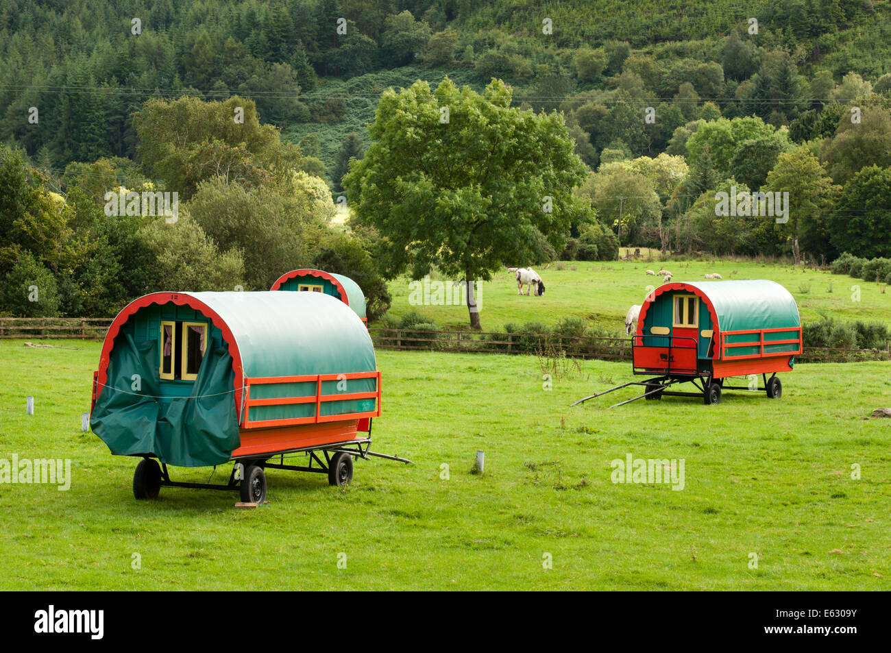 Stile tradizionale Gypsy Caravan in un campo Foto Stock