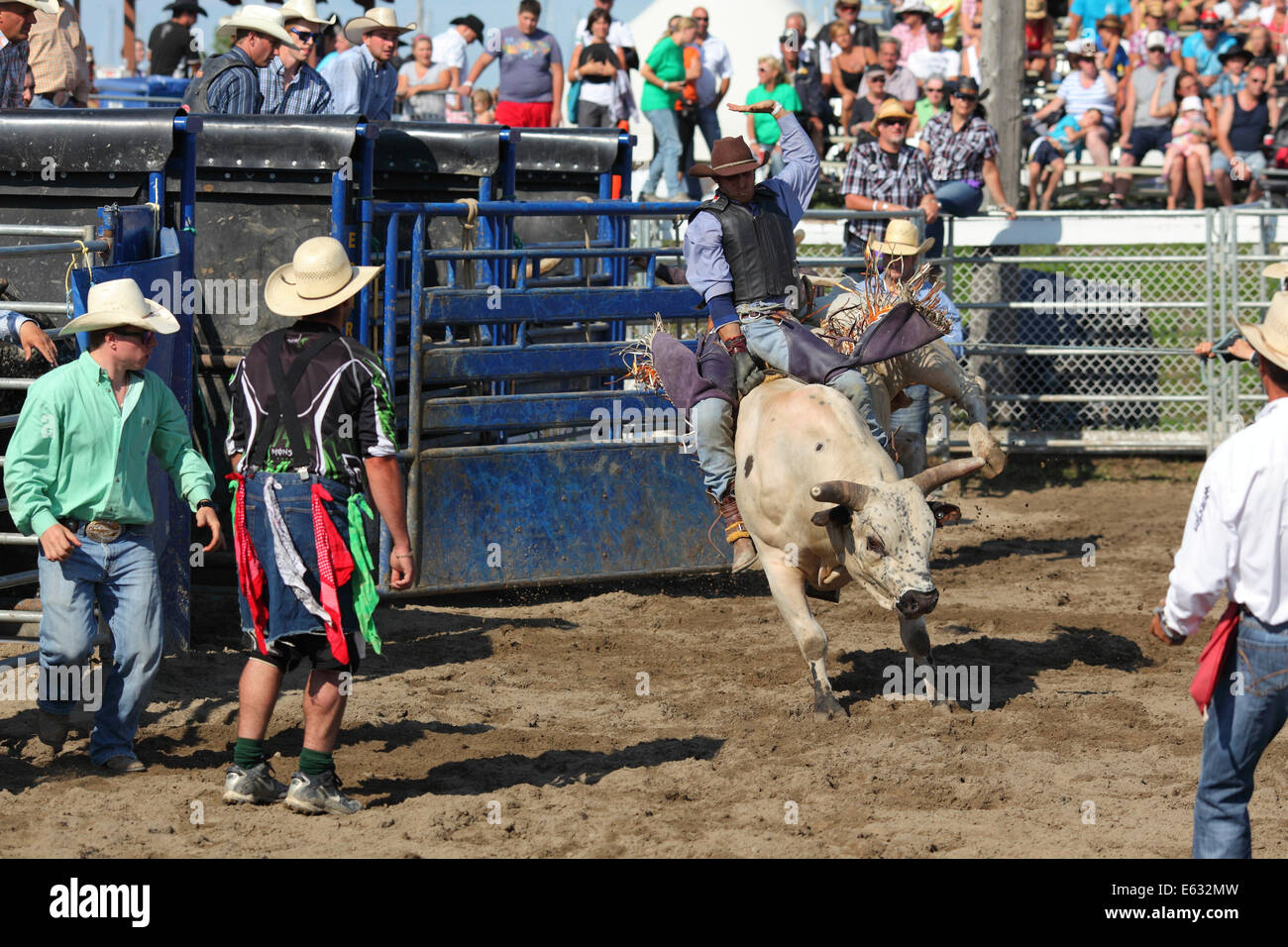 Rodeo, bull riding, Valleyfield, Provincia di Quebec, Canada Foto Stock