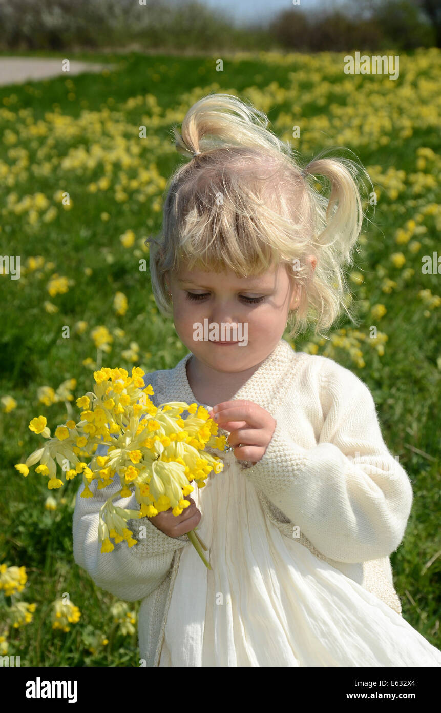 Bambina di 2 anni che indossa un vestito estivo, con un bouquet di cowslip, Svezia Foto Stock