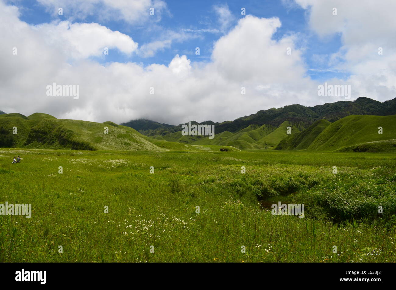 Dzükou Valley, fascino eterno Foto Stock