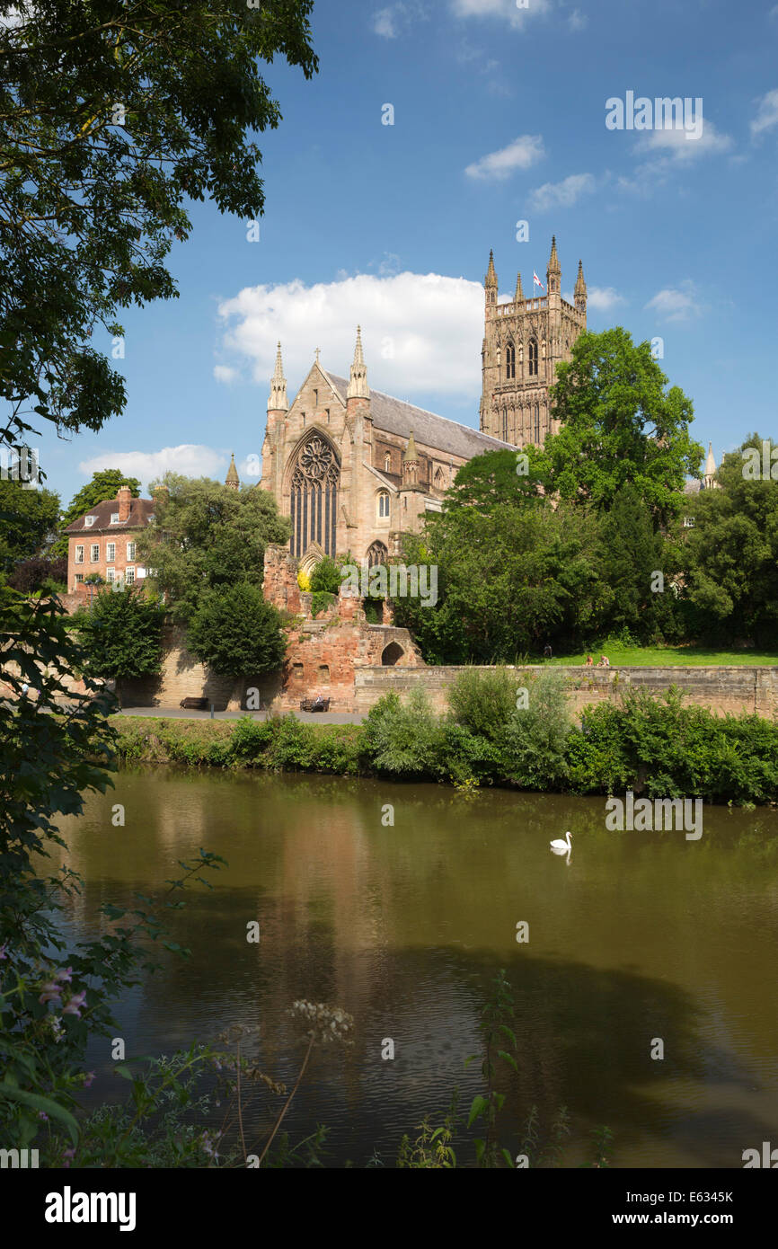 Cattedrale di Worcester e il fiume Severn, Worcester, Worcestershire, England, Regno Unito, Europa Foto Stock