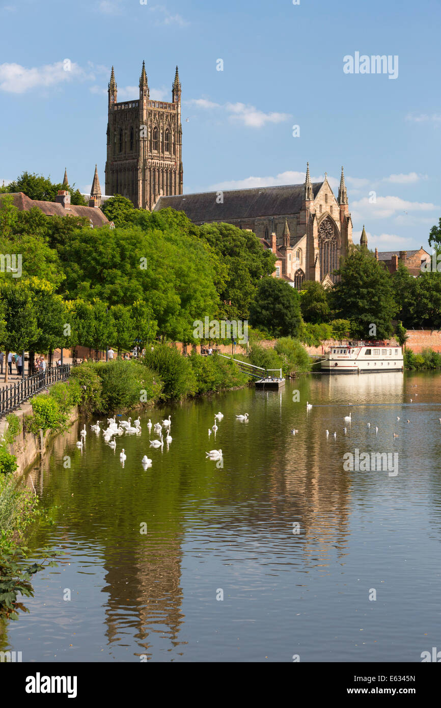 Cattedrale di Worcester e il fiume Severn, Worcester, Worcestershire, England, Regno Unito, Europa Foto Stock
