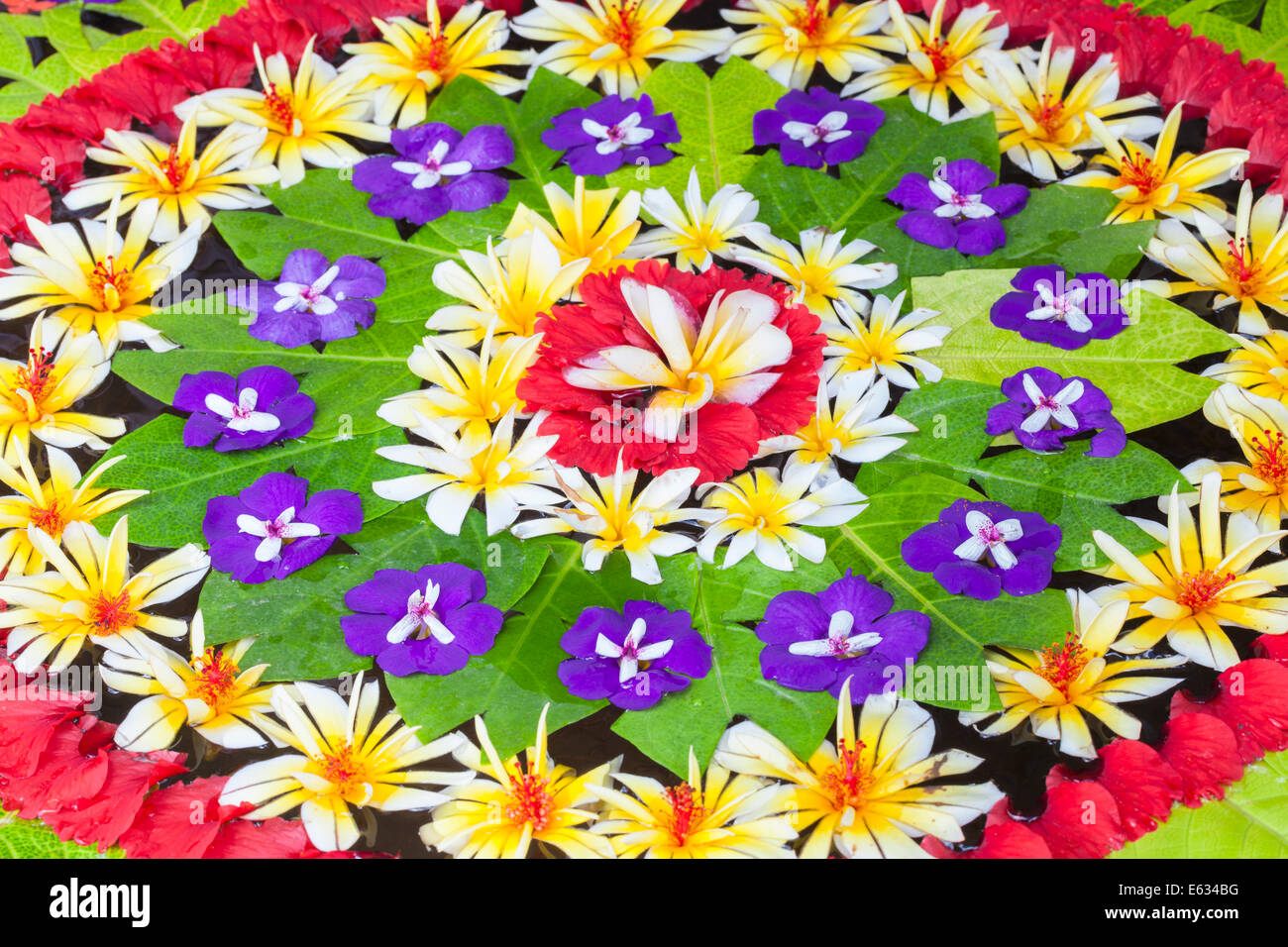 Delicato la disposizione dei petali e foglie galleggianti in un bacino di acqua, Bali, Indonesia Foto Stock