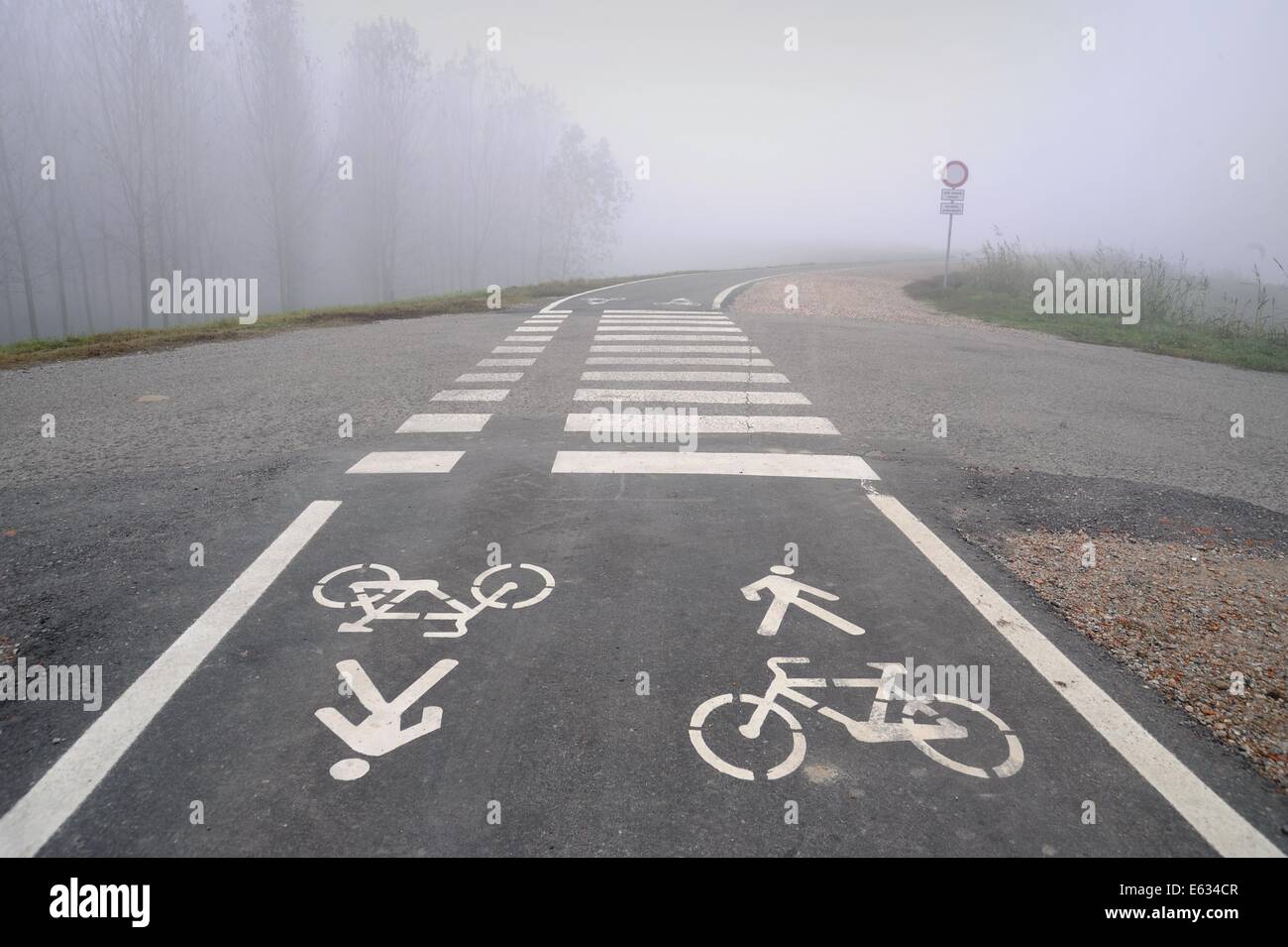 Luzzara (Reggio Emilia) pista ciclabile sulla sponda del fiume Po Foto Stock